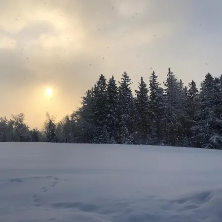 Ferienhaus Zlata Vyhlidka Johannisbad